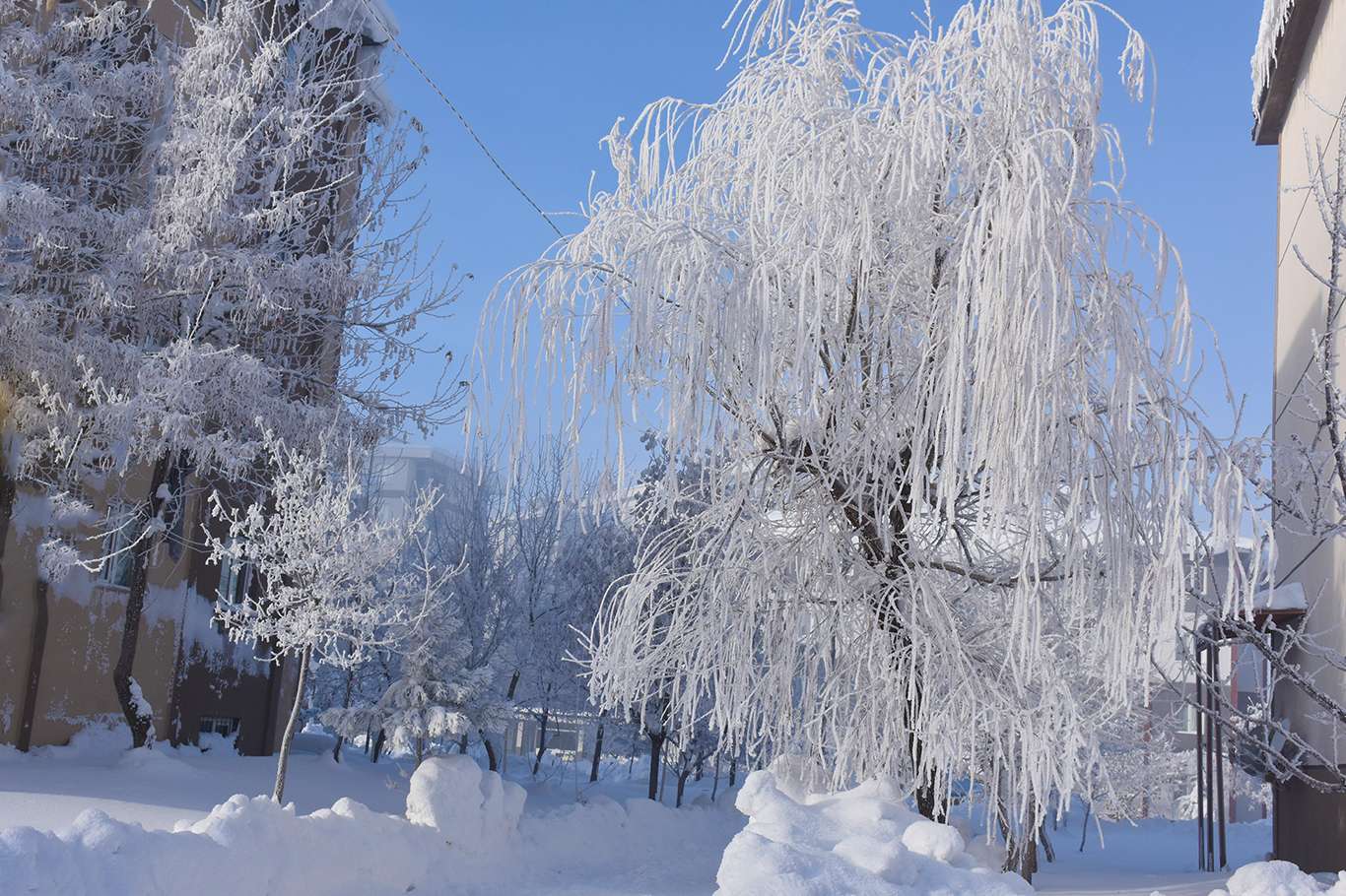 Bitlis'te hava sıcaklığı eksi 20 dereceye düşünce kartpostallık görüntüler oluştu