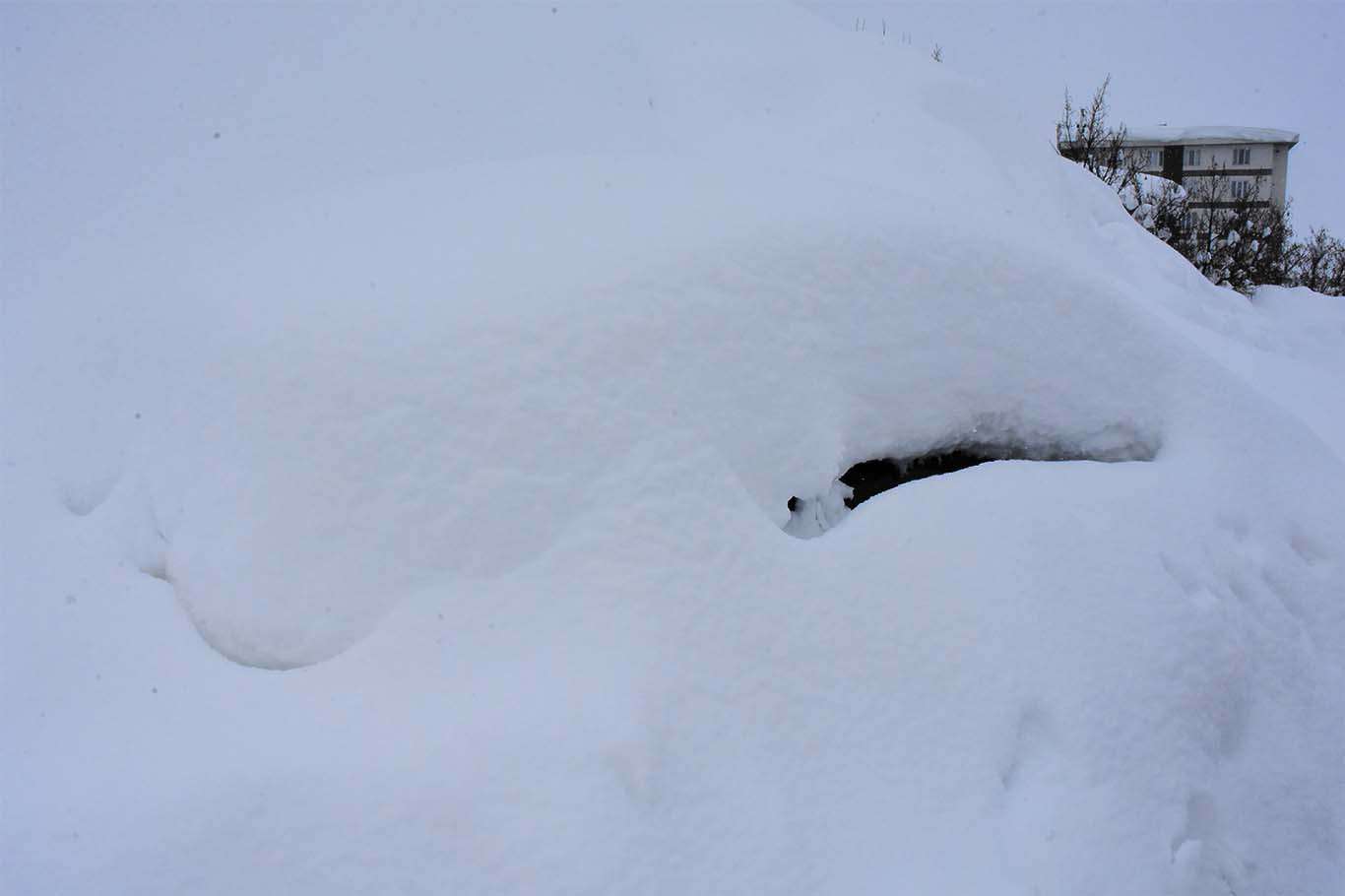 Bitlis’te araçlar kara gömüldü, vatandaşlar tünel açarak evlerine giriyor