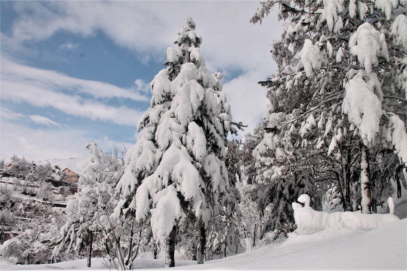 Bitlis’te kar yağışının ardından kartpostallık görüntüler oluştu