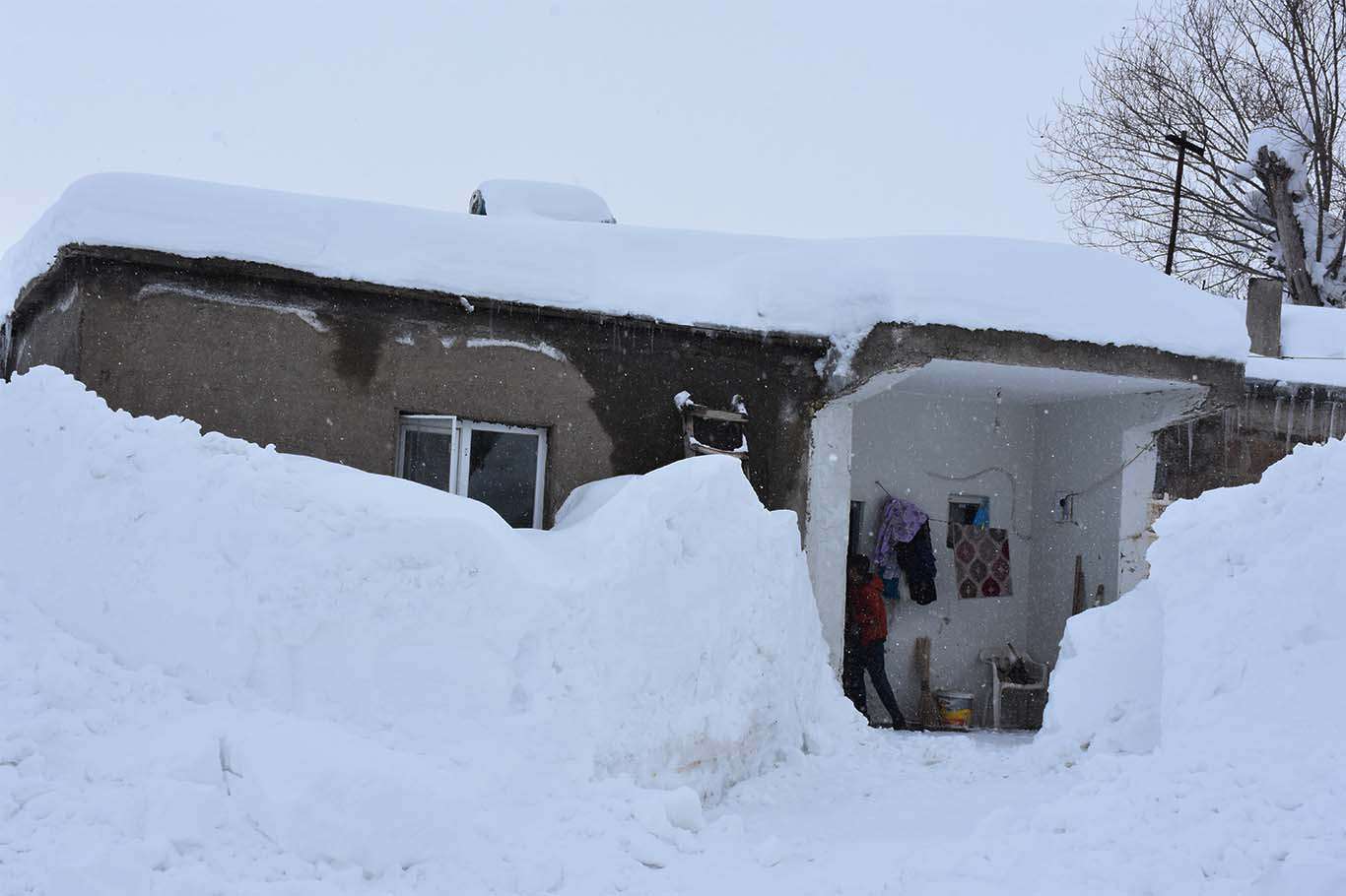 Bu görüntüler Sibirya'dan değil Bitlis'ten