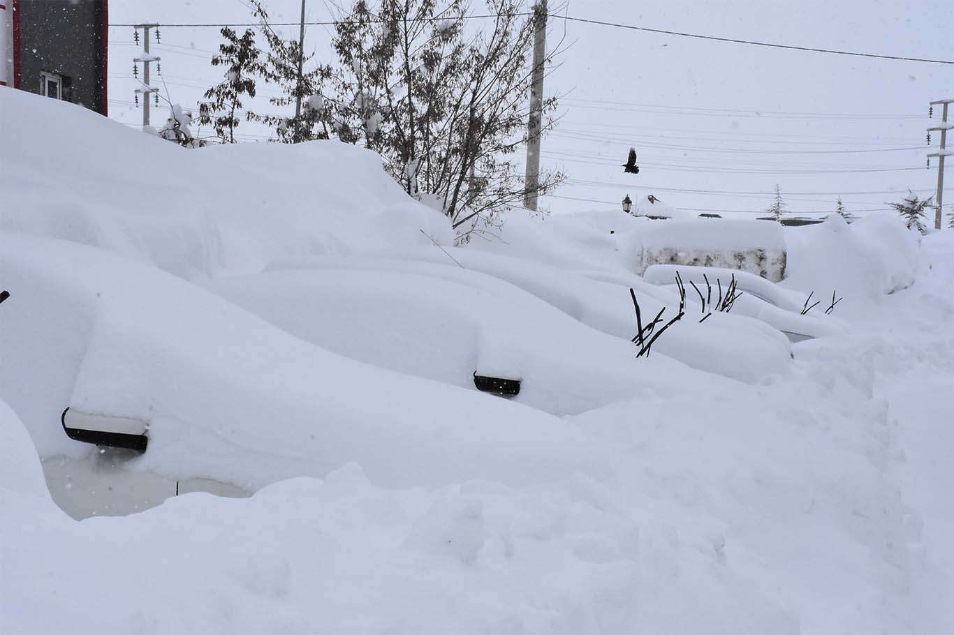 Bitlis’te araçlar kara gömüldü, vatandaşlar tünel açarak evlerine giriyor
