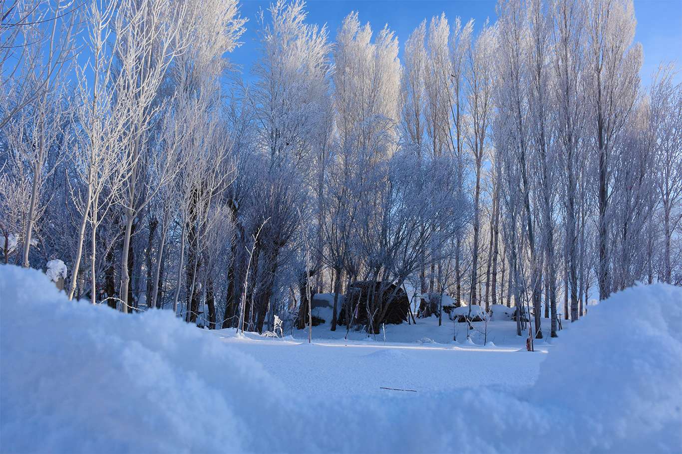 Bitlis'te hava sıcaklığı eksi 20 dereceye düşünce kartpostallık görüntüler oluştu
