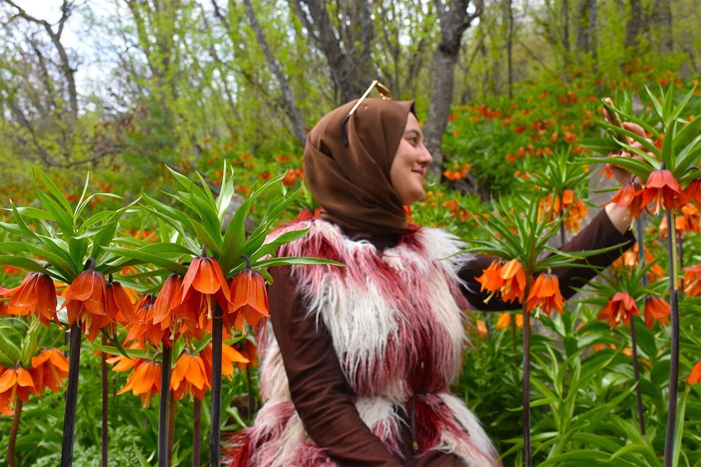 Bitlis’te açan ters laleler göz kamaştırıyor