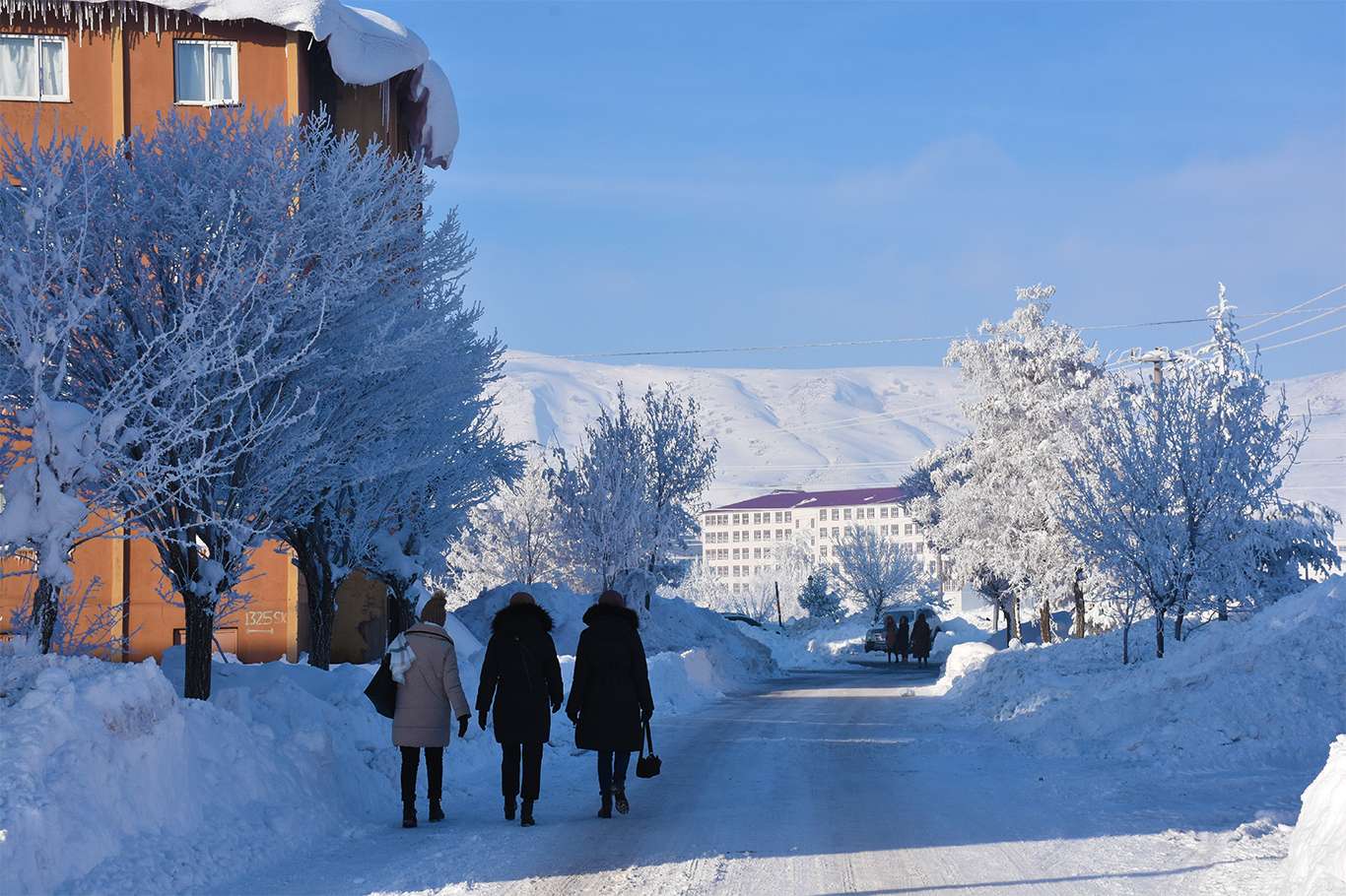 Bitlis'te hava sıcaklığı eksi 20 dereceye düşünce kartpostallık görüntüler oluştu