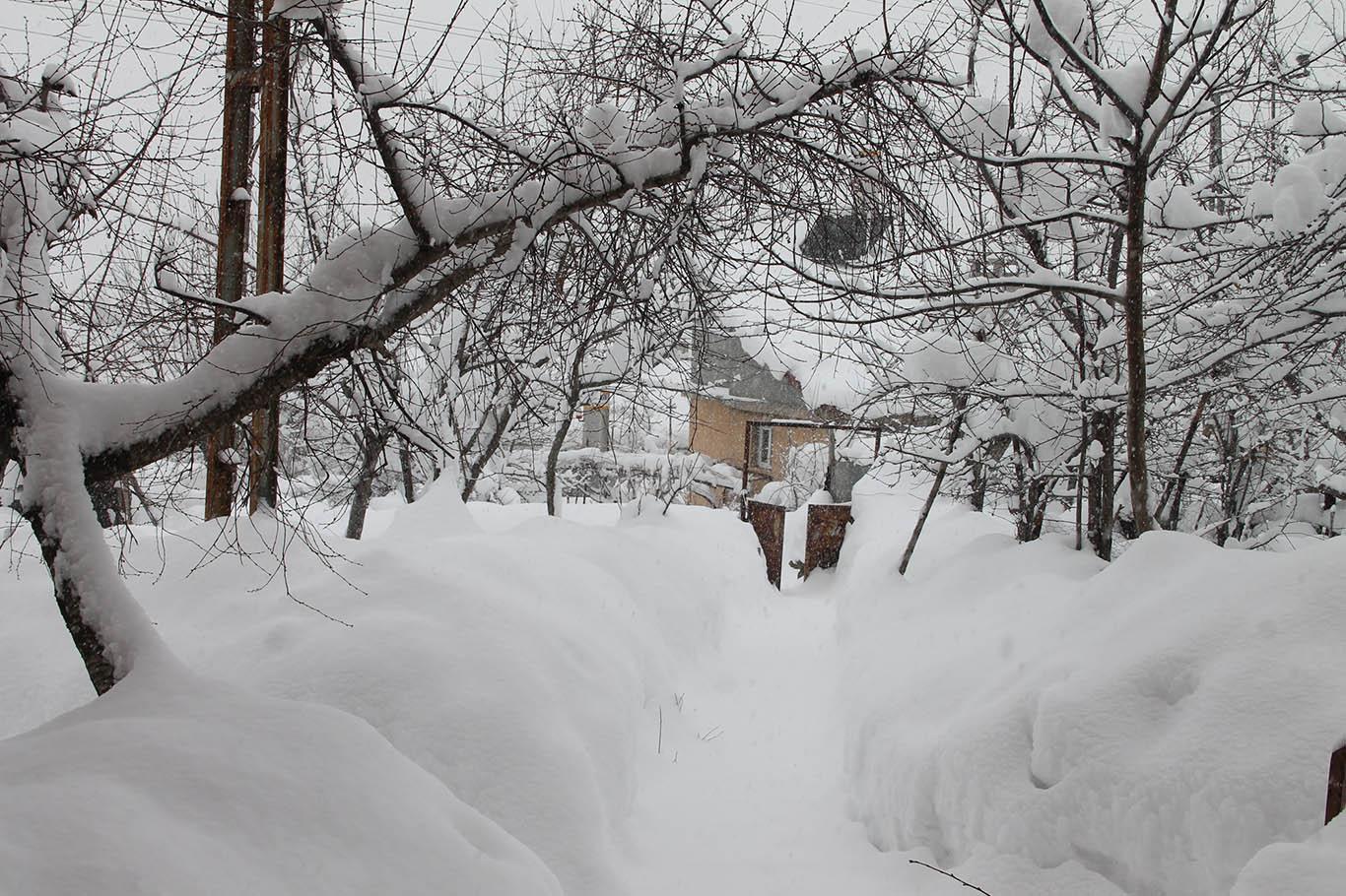Yoğun kar yağışı ve tipi nedeniyle Bitlis’te adeta hayat durdu