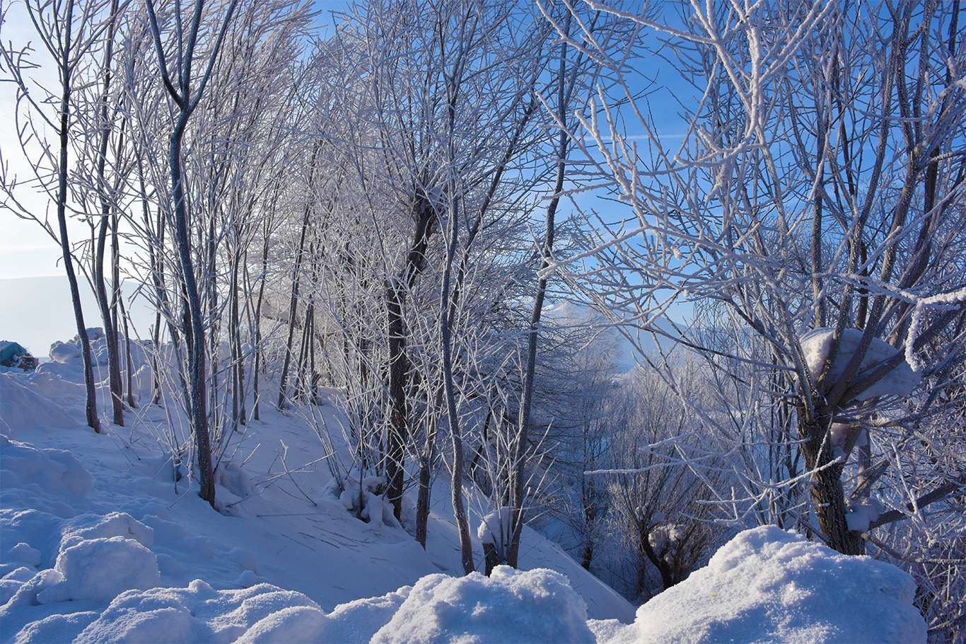 Bitlis'te hava sıcaklığı eksi 20 dereceye düşünce kartpostallık görüntüler oluştu
