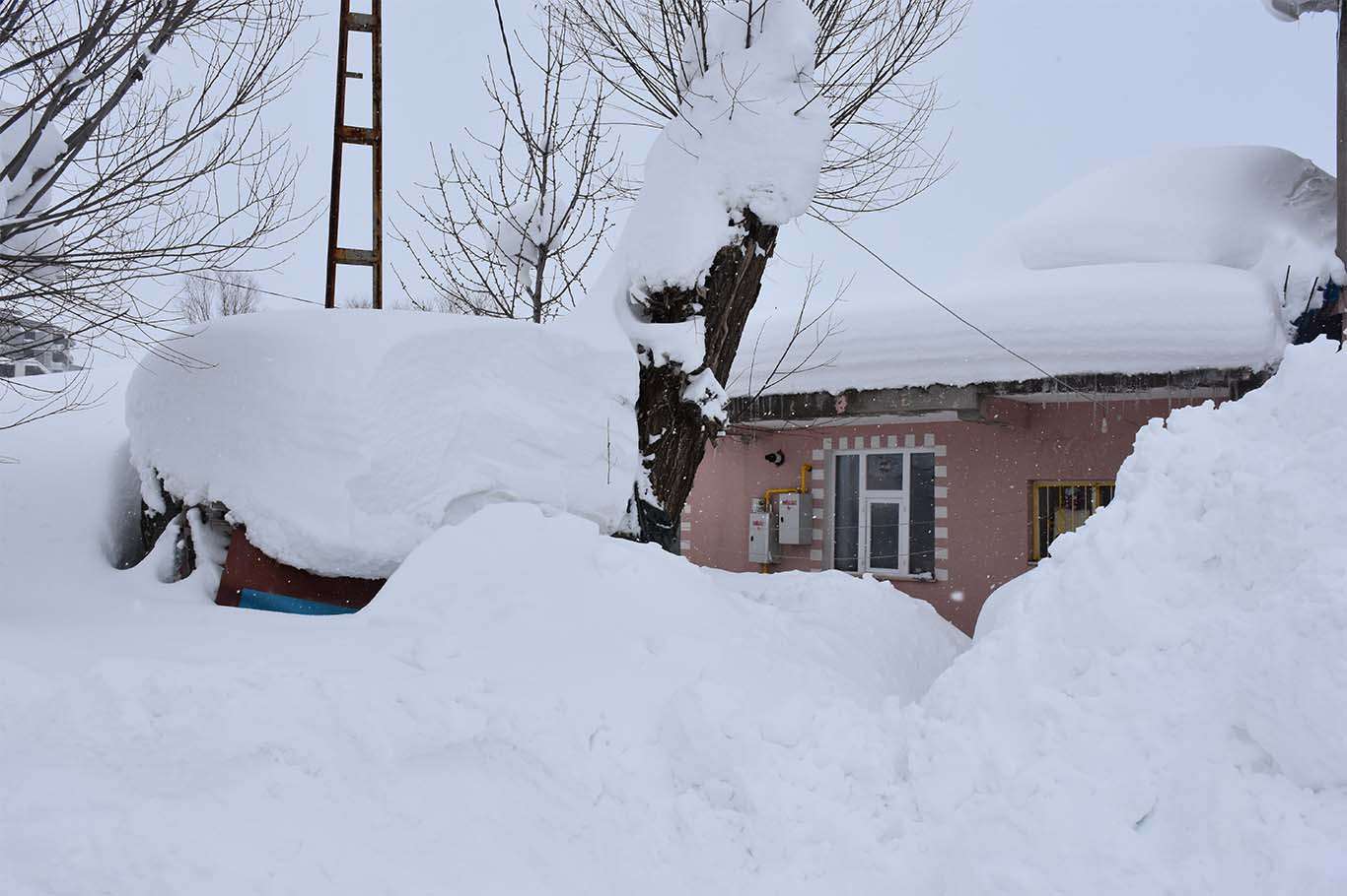 Bu görüntüler Sibirya'dan değil Bitlis'ten