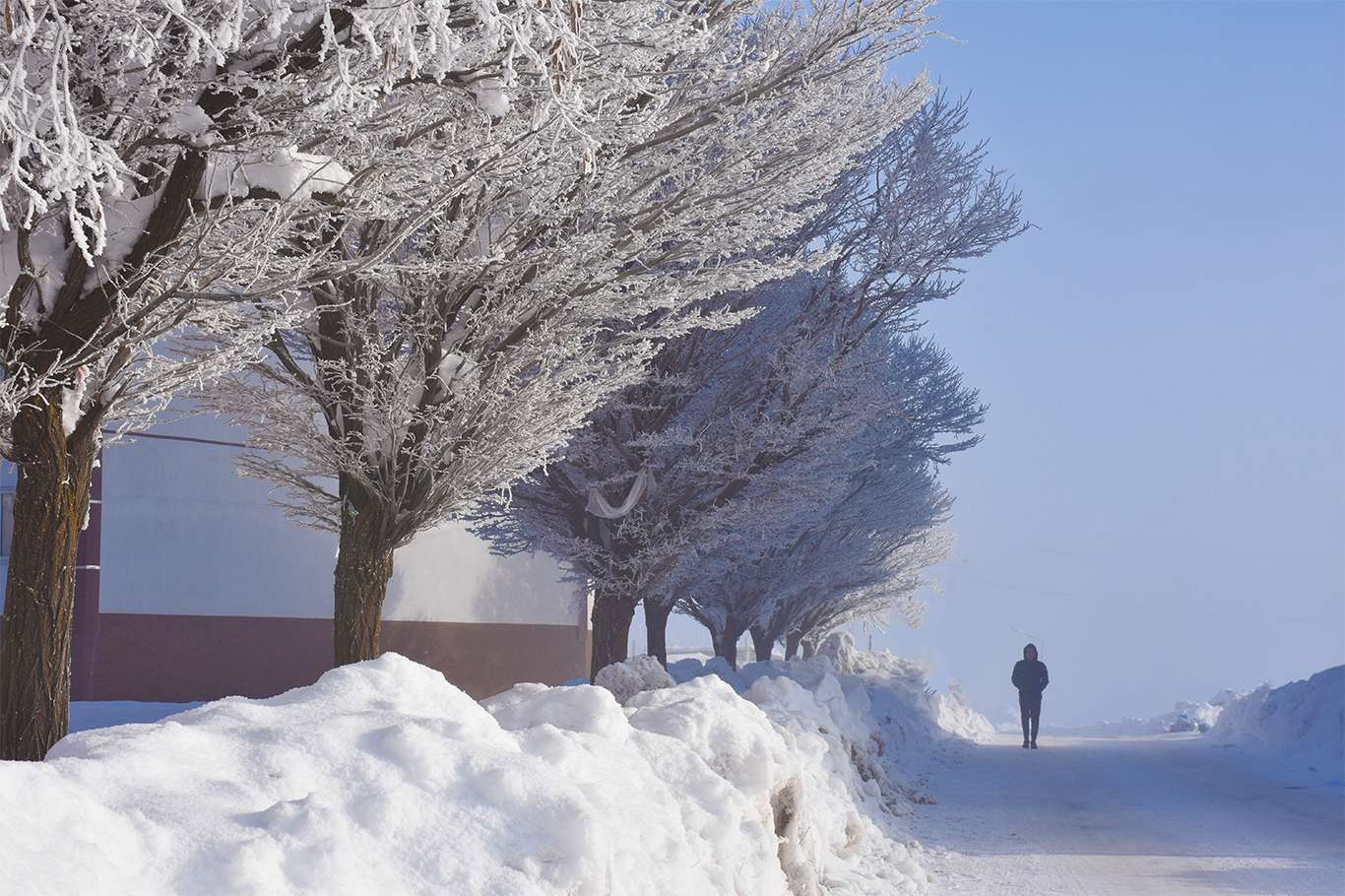 Bitlis'te hava sıcaklığı eksi 20 dereceye düşünce kartpostallık görüntüler oluştu