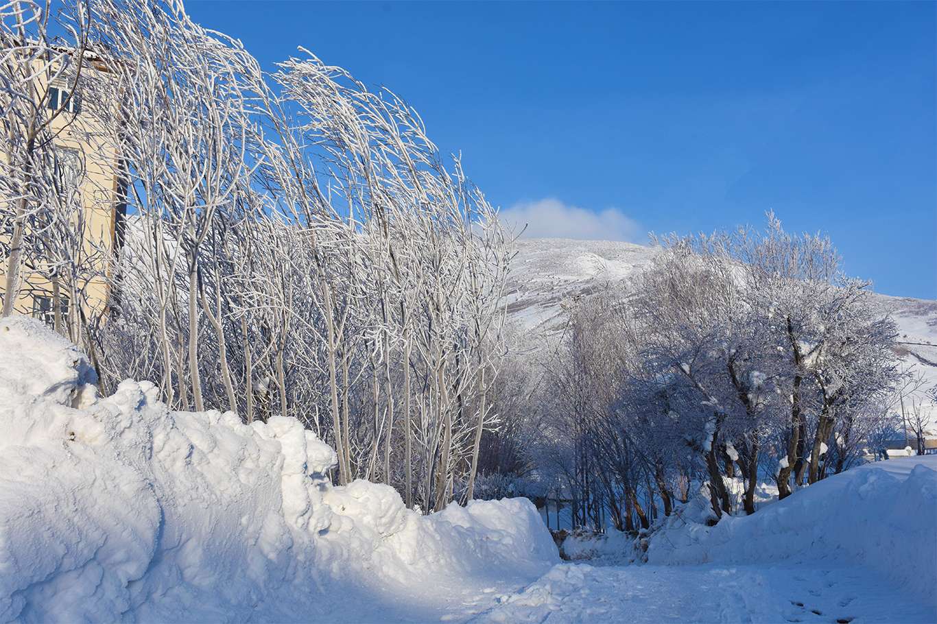 Bitlis'te hava sıcaklığı eksi 20 dereceye düşünce kartpostallık görüntüler oluştu