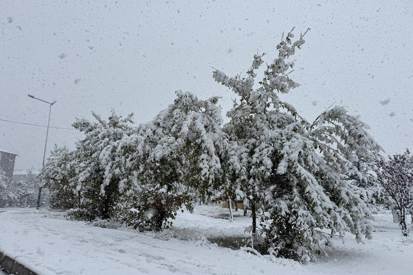 bitliste-yogun-kar-yagisi-etkili-oluyor-7f1a621a