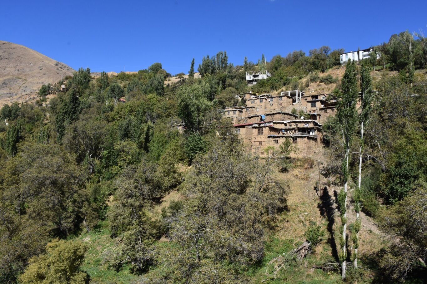 bitliste-yolu-olmayan-45-hanelik-koyde-hastalar-yaslilar-gebeler-at-sirtinda-tasiniyor-6f546861