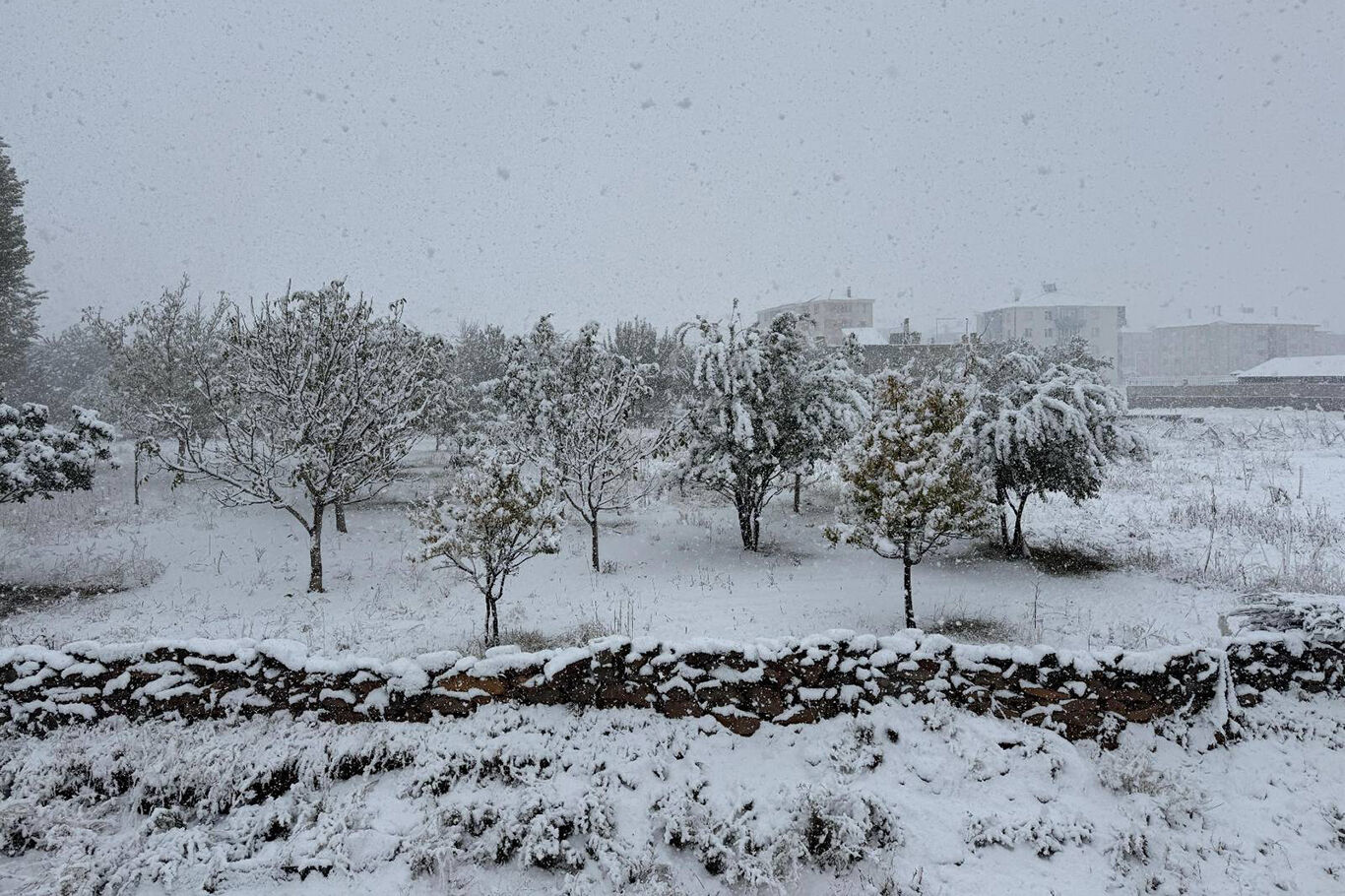 bitliste-yogun-kar-yagisi-etkili-oluyor-daa4cf08