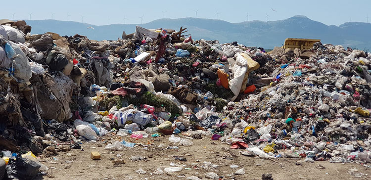 02.06 15 1 New Folder 20250507 2 68915439 112620341