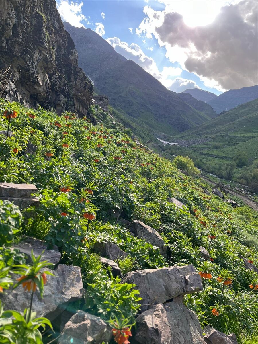 A A 20250508 37886680 37886678 H A K K A R I D E A C A N T E R S L A L E L E R I J A N D A R M A K O R U Y O R