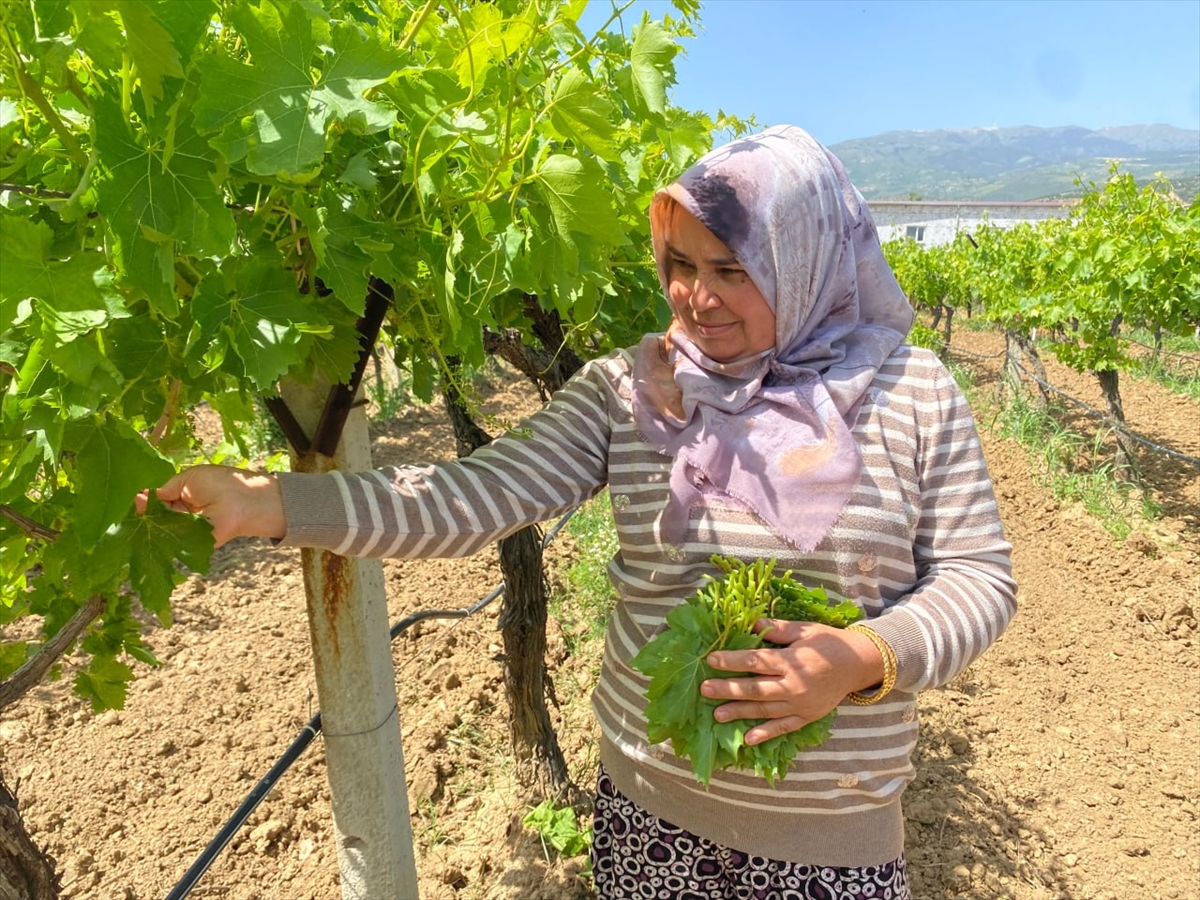 A A 20250509 37892402 37892399 M A N I S A D A A S M A Y A P R A G I U Z U M U R E T I C I S I N E E K G E L I R S A G L I Y O R