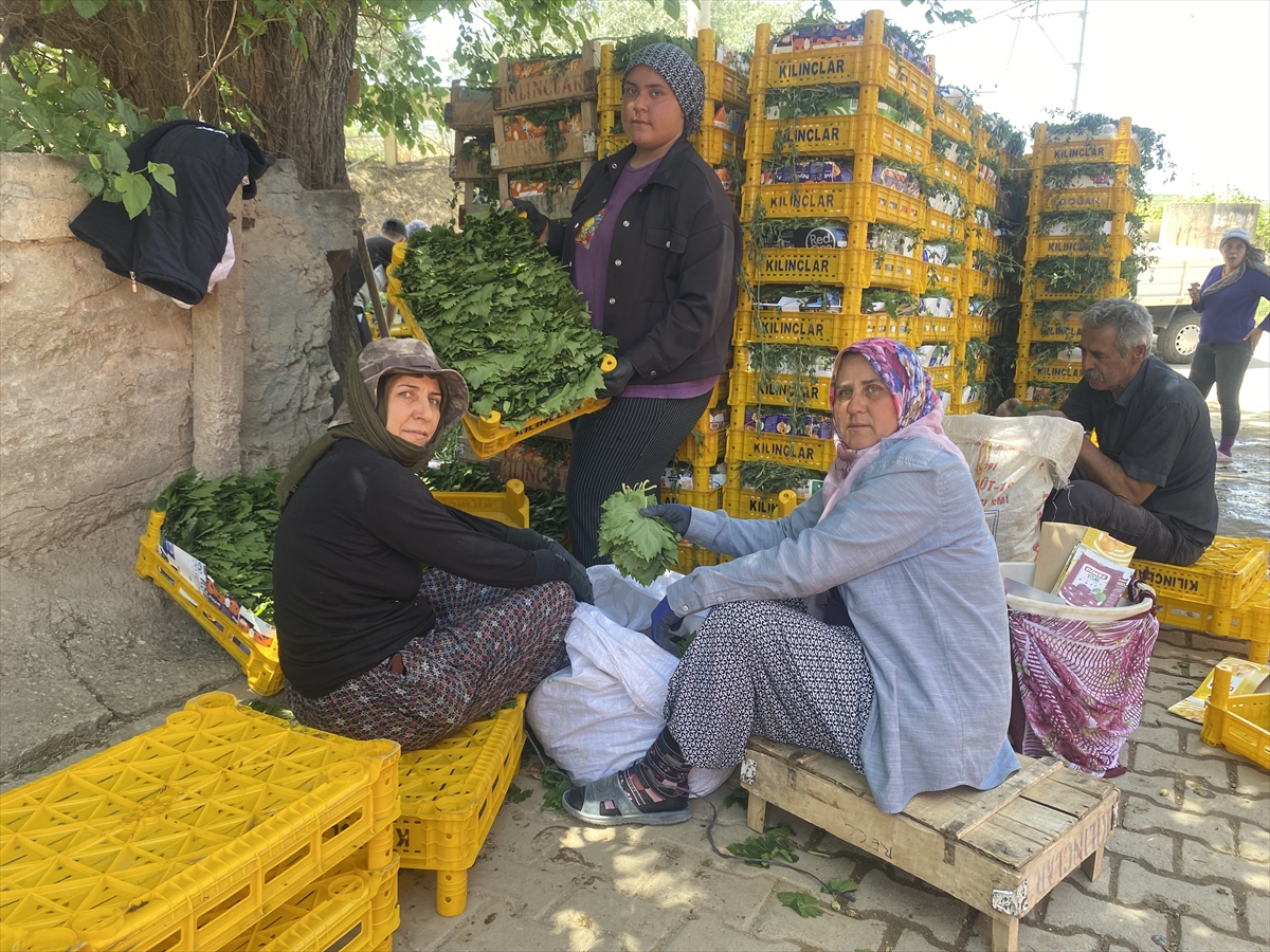 A A 20250509 37892402 37892400 M A N I S A D A A S M A Y A P R A G I U Z U M U R E T I C I S I N E E K G E L I R S A G L I Y O R