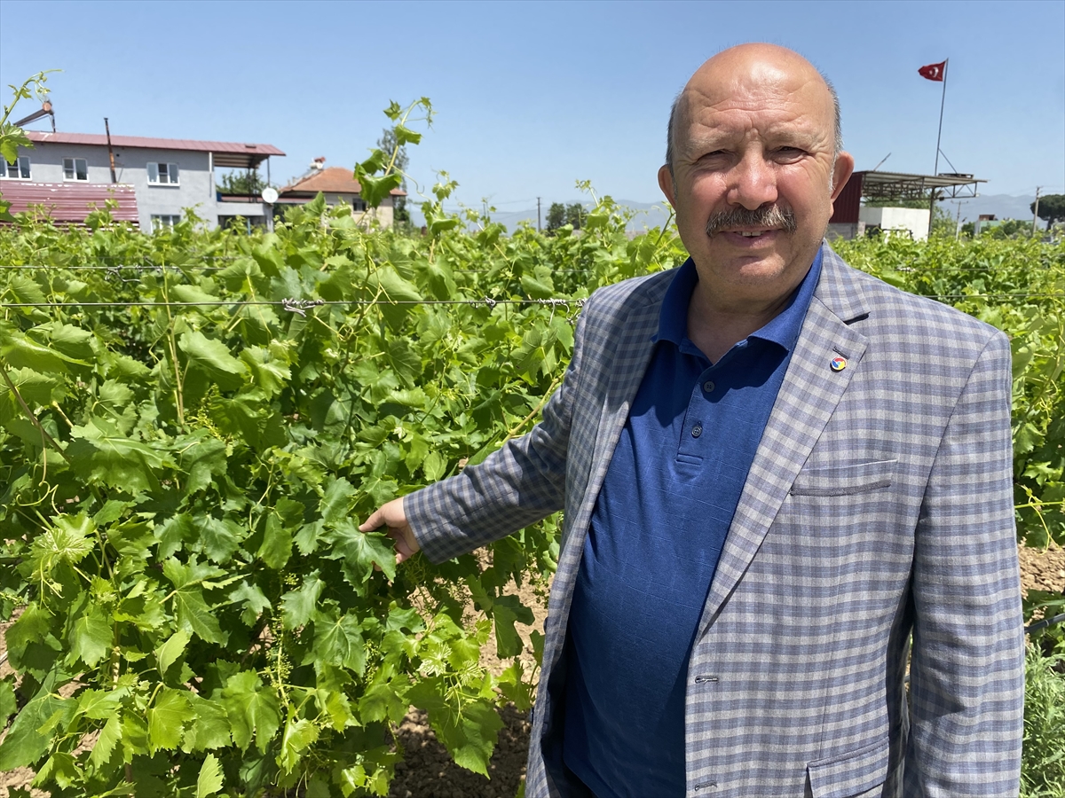 A A 20250509 37892402 37892401 M A N I S A D A A S M A Y A P R A G I U Z U M U R E T I C I S I N E E K G E L I R S A G L I Y O R