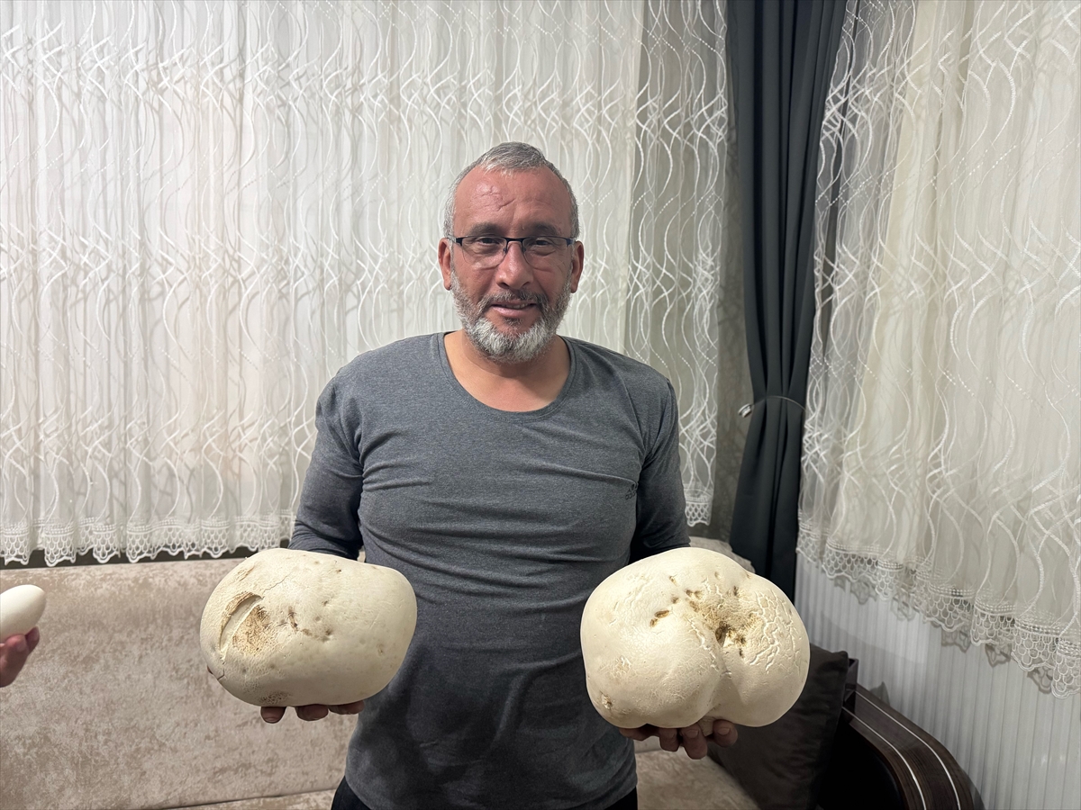 A A 20250509 37901781 37901778 I S P A R T A L I D O G A S E V E R Y U R U Y U S S I R A S I N D A D E V M A N T A R L A R B U L D U