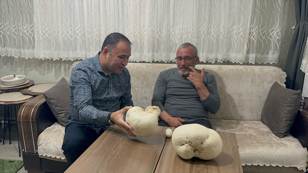 A A 20250509 37901781 37901779 I S P A R T A L I D O G A S E V E R Y U R U Y U S S I R A S I N D A D E V M A N T A R L A R B U L D U