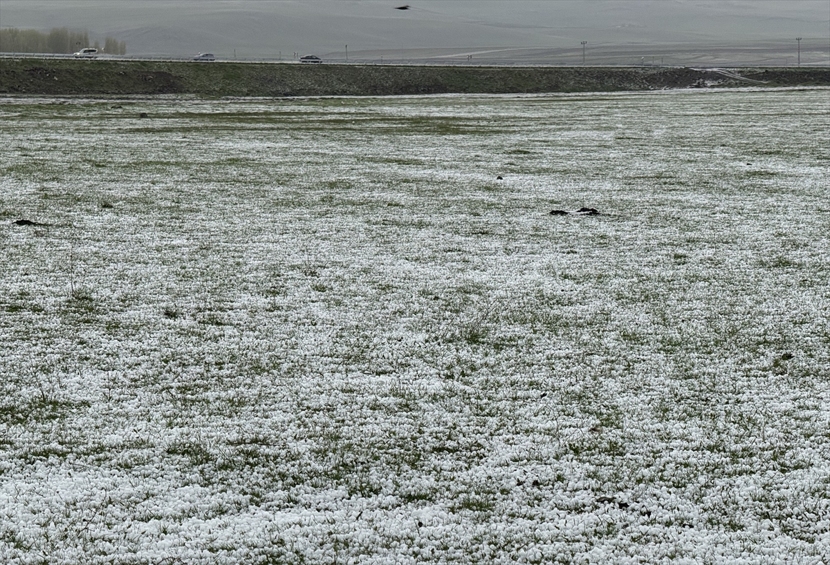 A A 20250512 37929189 37929187 K A R S T A D O L U V E S A G A N A K E T K I L I O L D U