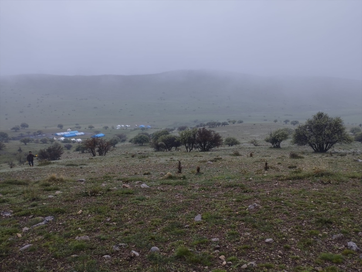 A A 20250514 37951207 37951206 E R Z I N C A N D A A G I L A G I R E N K U R T L A R 15 K U Z U Y U T E L E F E T T I