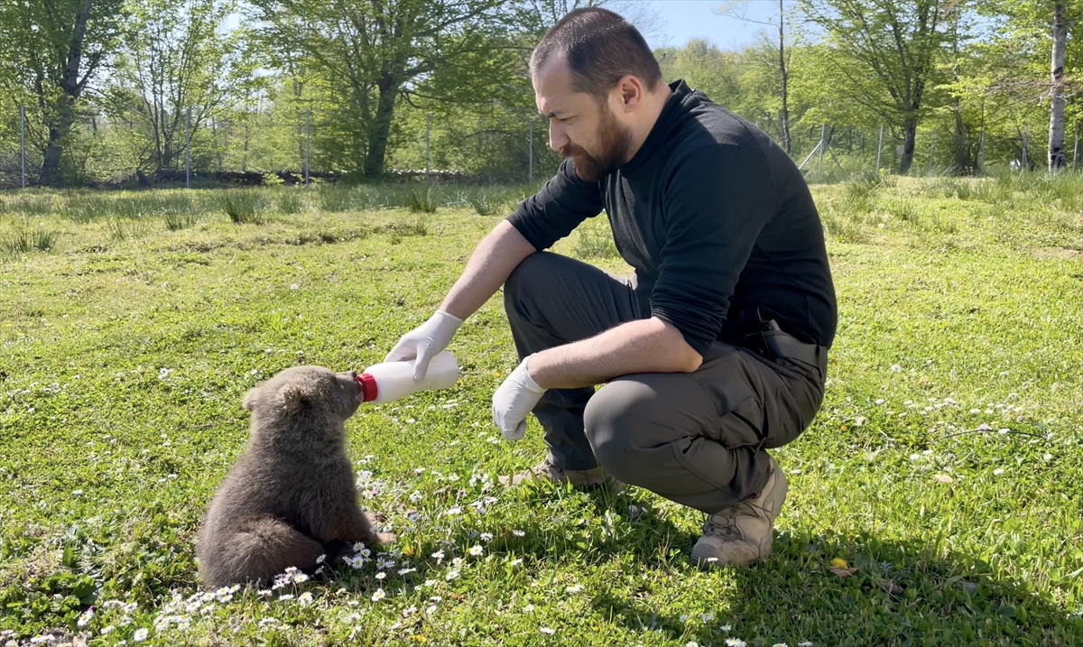 A A 20250514 37951681 37951679 S I N O P T A D O G A D A B U L U N A N 2 A Y I Y A V R U S U N U V E T E R I N E R H E K I M L E R B E S L E D I