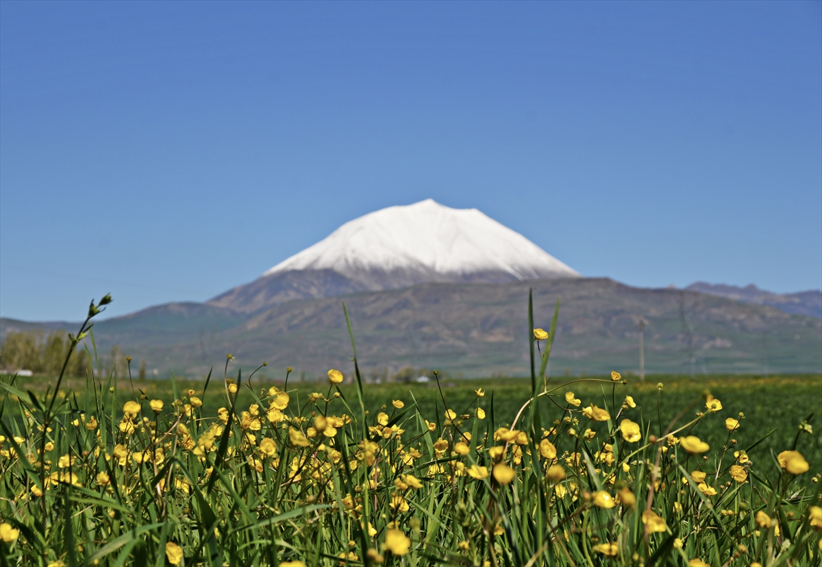 A A 20250516 37972011 37972008 A G R I D A K I K O S E D A G I N Z I R V E S I B A H A R D A K A R L A K A P L A N D I