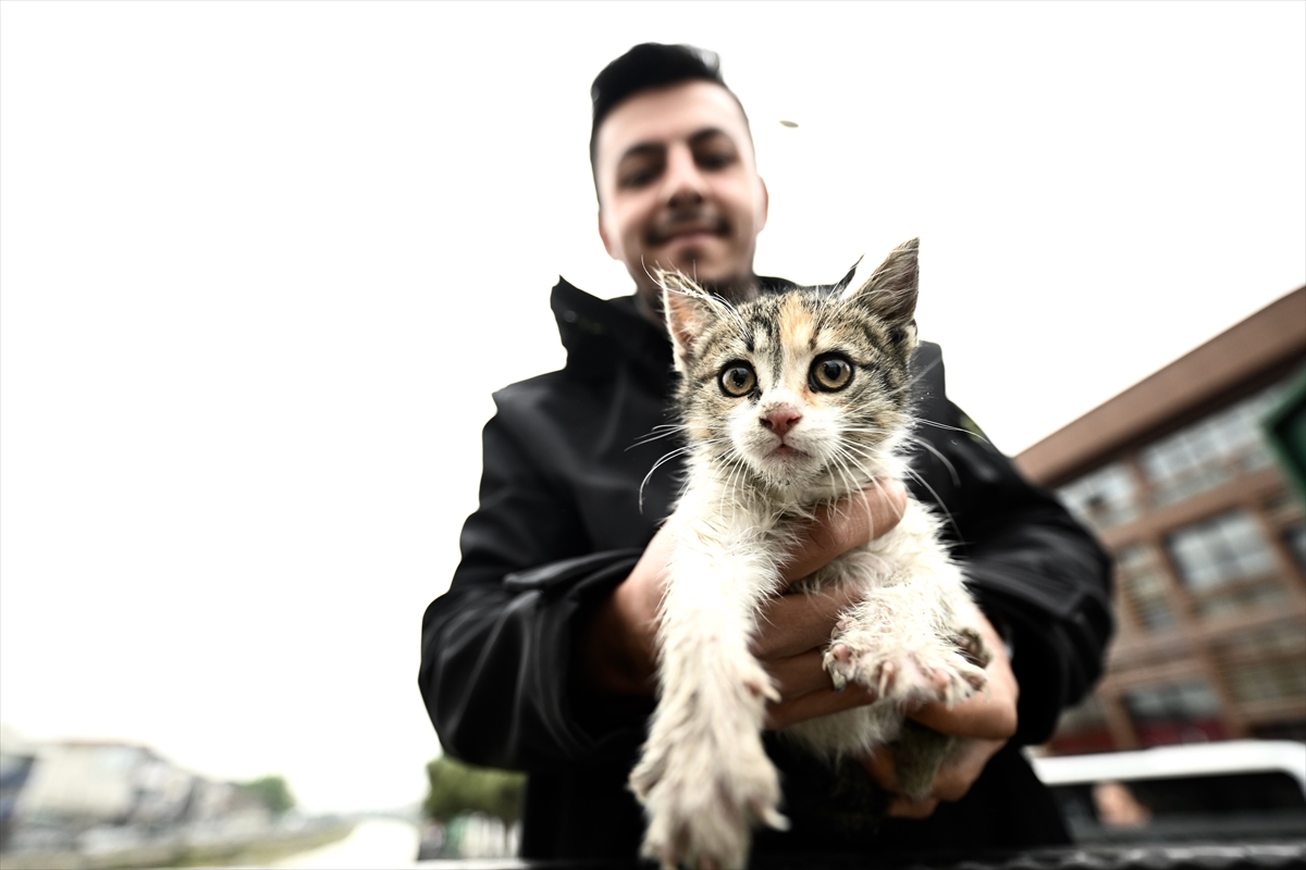 A A 20250516 37976337 37976329 D U Z C E D E D E R E D E N K U R T A R I L A N K E D I Y A V R U S U N U T A K S I C I S A H I P L E N D I