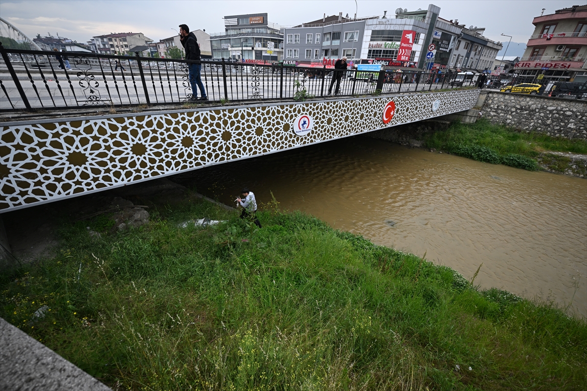 A A 20250516 37976337 37976330 D U Z C E D E D E R E D E N K U R T A R I L A N K E D I Y A V R U S U N U T A K S I C I S A H I P L E N D I