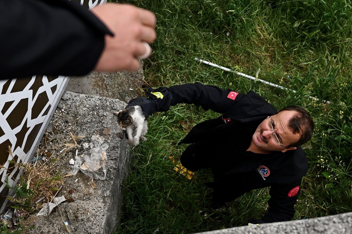 A A 20250516 37976337 37976331 D U Z C E D E D E R E D E N K U R T A R I L A N K E D I Y A V R U S U N U T A K S I C I S A H I P L E N D I