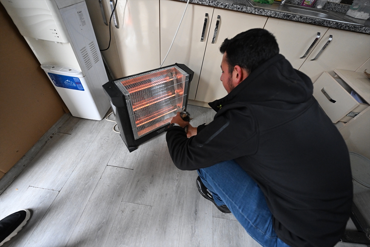 A A 20250516 37976337 37976334 D U Z C E D E D E R E D E N K U R T A R I L A N K E D I Y A V R U S U N U T A K S I C I S A H I P L E N D I