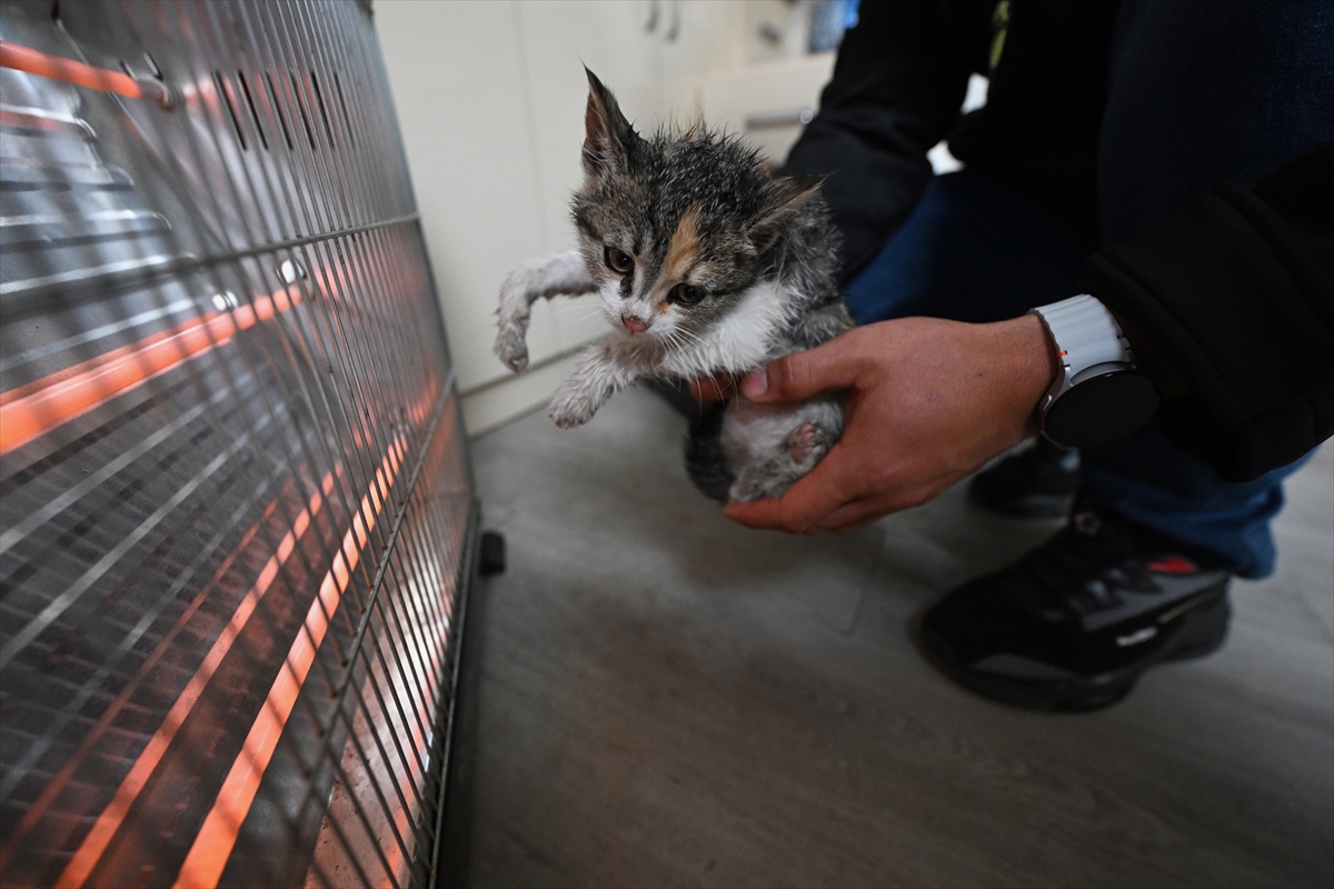 A A 20250516 37976337 37976335 D U Z C E D E D E R E D E N K U R T A R I L A N K E D I Y A V R U S U N U T A K S I C I S A H I P L E N D I