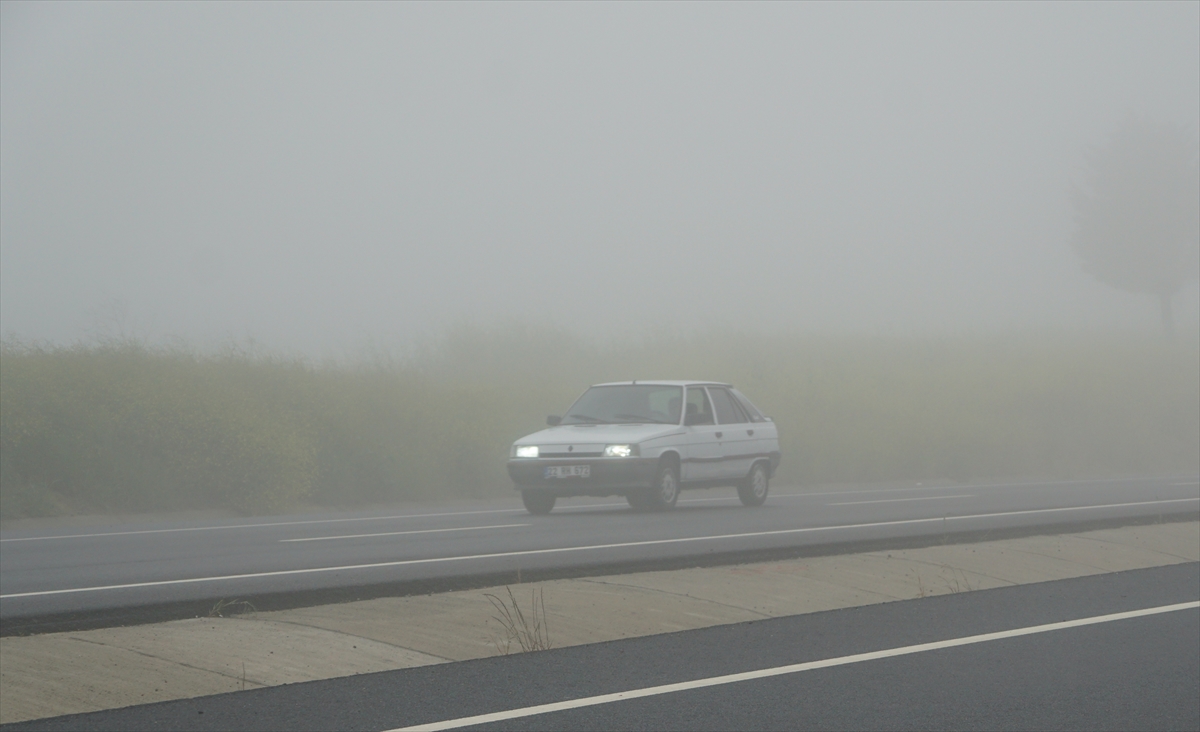 A A 20250517 37982797 37982796 T E K I R D A G D A S I S E T K I L I O L D U