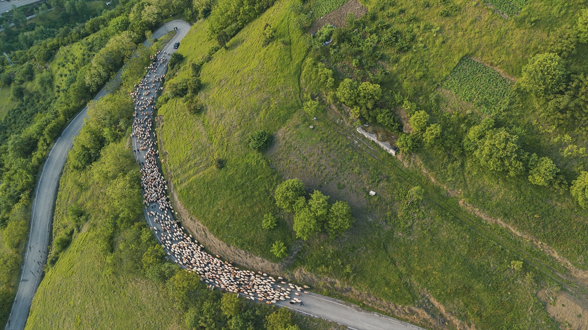 A A 20250518 37993032 37993024 D O G U K A R A D E N I Z D E B E S I C I L E R I N Y A Y L A L A R A G O C U S U R U Y O R