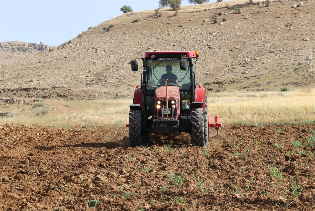 A A 20250518 37994793 37994786 B A T M A N D A K A V U N V E K A R P U Z T O H U M L A R I T O P R A K L A B U L U S T U R U L U Y O R