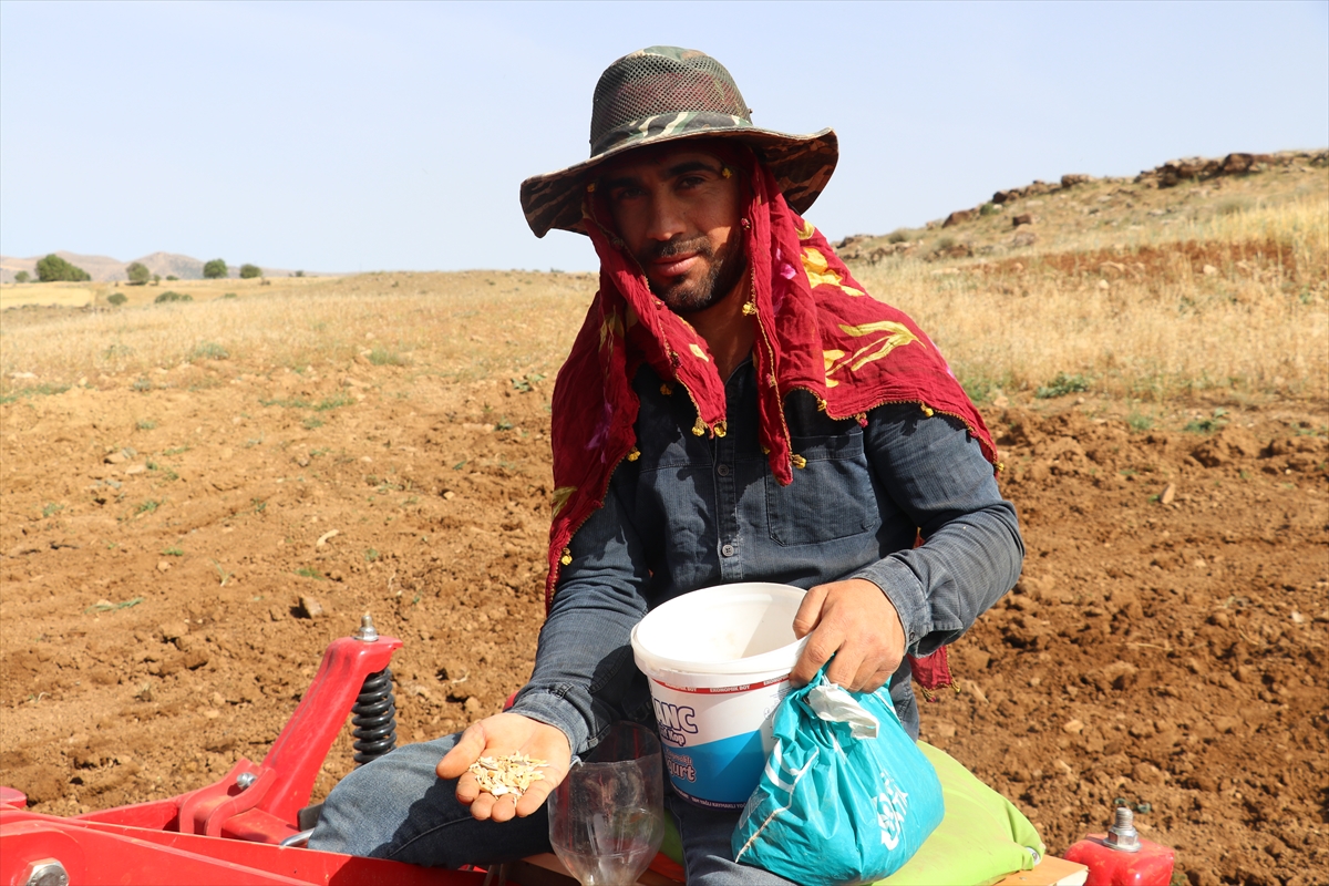 A A 20250518 37994793 37994788 B A T M A N D A K A V U N V E K A R P U Z T O H U M L A R I T O P R A K L A B U L U S T U R U L U Y O R