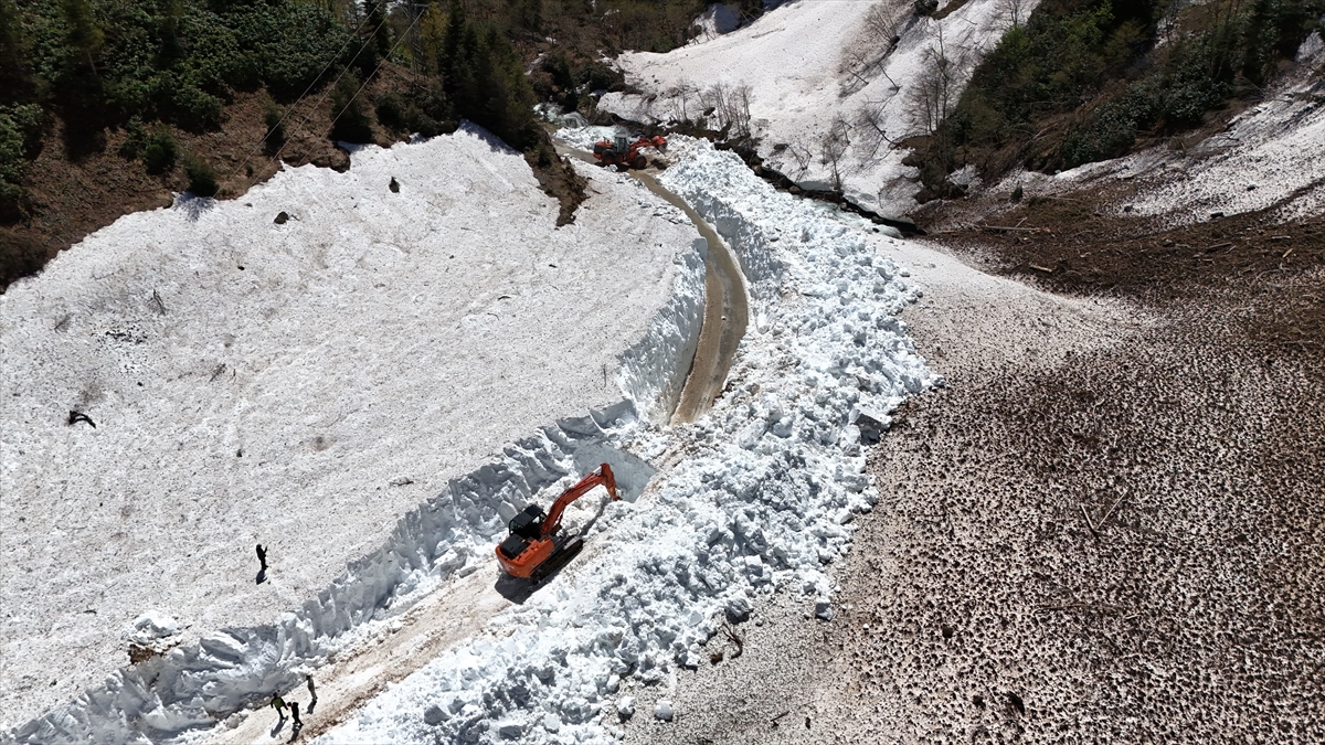 A A 20250518 37996236 37996234 R I Z E D E Y A Y L A Y O L L A R I N D A K A R L A M U C A D E L E S U R U Y O R