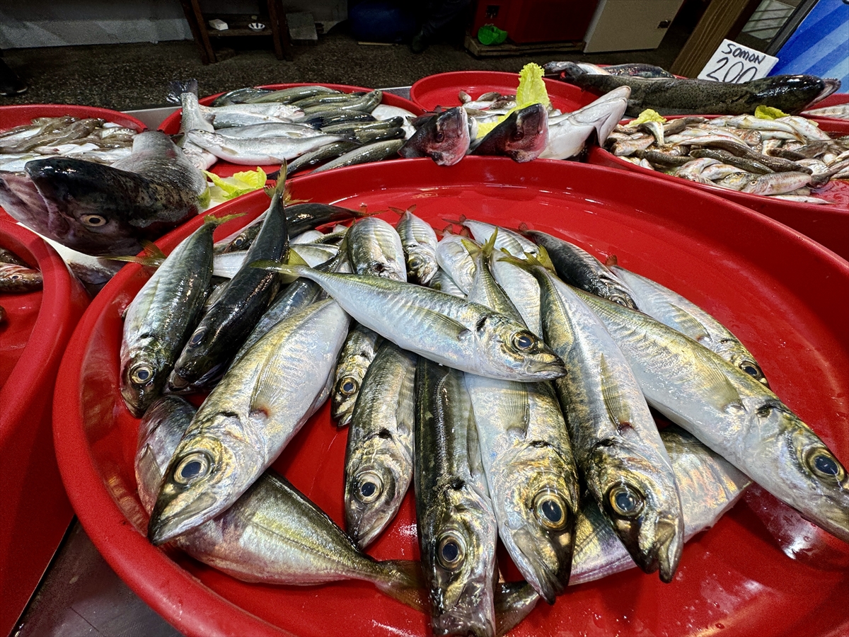 A A 20250518 37996837 37996832 T R A B Z O N L U B A L I K C I L A R I N T E Z G A H L A R I N I M E Z G I T V E I S T A V R I T S U S L U Y O R