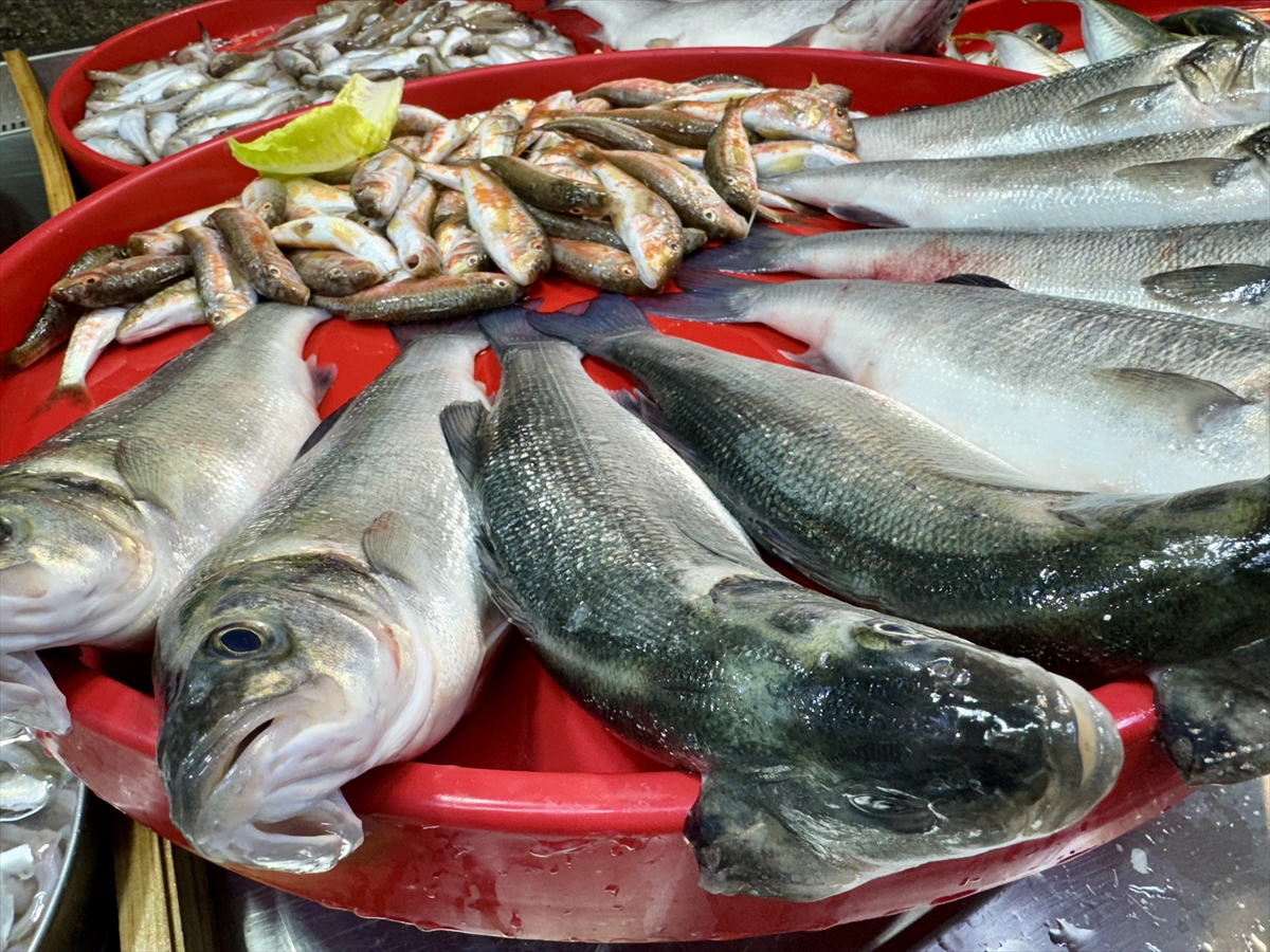 A A 20250518 37996837 37996833 T R A B Z O N L U B A L I K C I L A R I N T E Z G A H L A R I N I M E Z G I T V E I S T A V R I T S U S L U Y O R