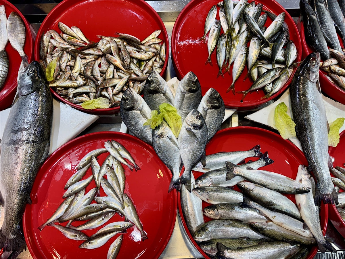 A A 20250518 37996837 37996834 T R A B Z O N L U B A L I K C I L A R I N T E Z G A H L A R I N I M E Z G I T V E I S T A V R I T S U S L U Y O R