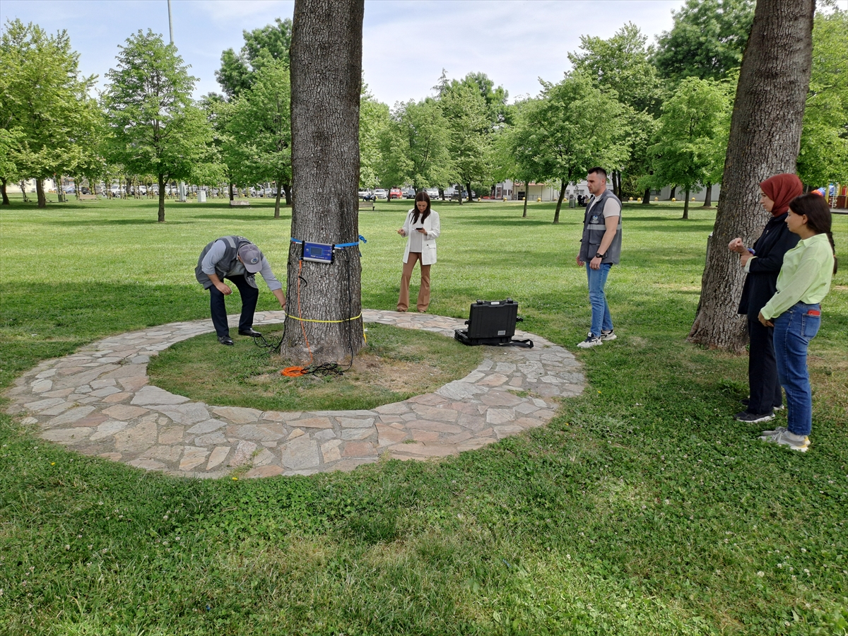 A A 20250519 38005811 38005804 S A K A R Y A D A A G A C L A R I N S A G L I G I A K U S T I K T O M O G R A F I Y L E T A K I P E D I L I Y O R