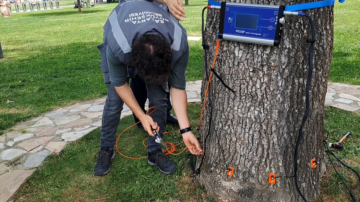 A A 20250519 38005811 38005805 S A K A R Y A D A A G A C L A R I N S A G L I G I A K U S T I K T O M O G R A F I Y L E T A K I P E D I L I Y O R