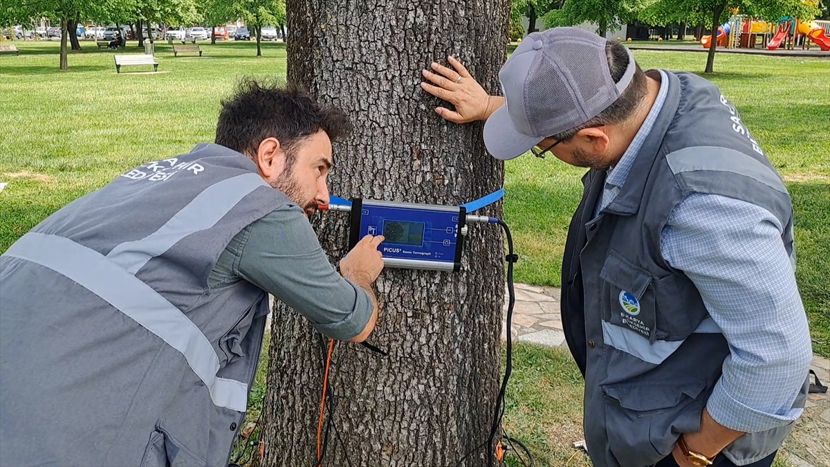 A A 20250519 38005811 38005807 S A K A R Y A D A A G A C L A R I N S A G L I G I A K U S T I K T O M O G R A F I Y L E T A K I P E D I L I Y O R