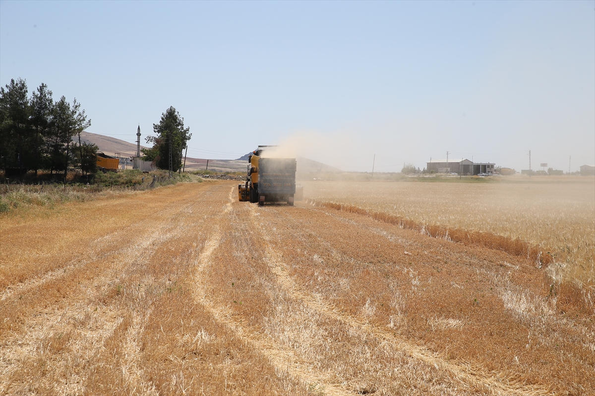 A A 20250521 38030279 38030274 A D I Y A M A N D A S E Z O N U N I L K A R P A H A S A D I Y A P I L D I