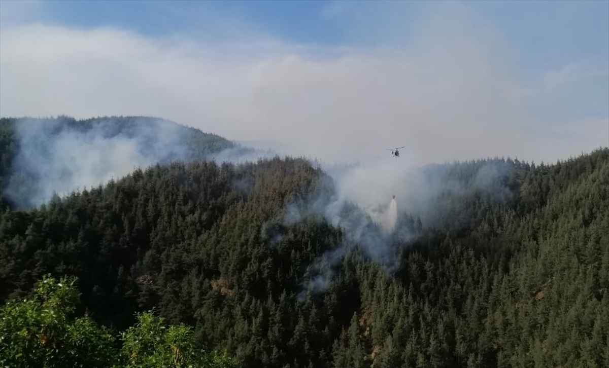 A A 20250522 38045790 38045785 K A H R A M A N M A R A S T A C I K A N O R M A N Y A N G I N I N A M U D A H A L E E D I L I Y O R