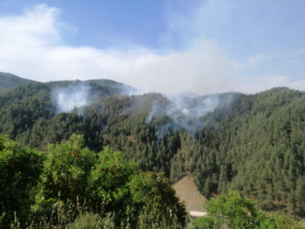 A A 20250522 38045790 38045787 K A H R A M A N M A R A S T A C I K A N O R M A N Y A N G I N I N A M U D A H A L E E D I L I Y O R