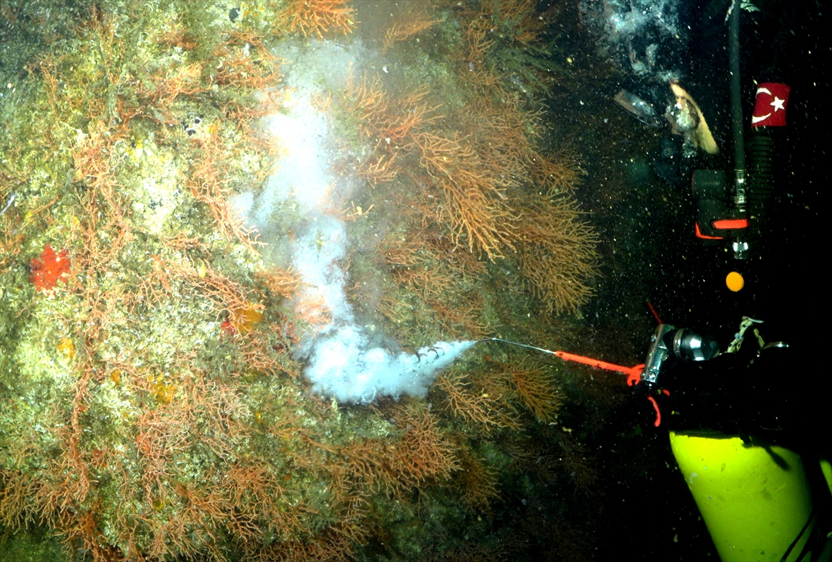 A A 20250523 38054854 38054822 M A R M A R A D E N I Z I N D E C A L I S M A Y A P A N D A L G I C L A R M E R C A N L A R I M U S I L A J D A N T E M I Z L E D I