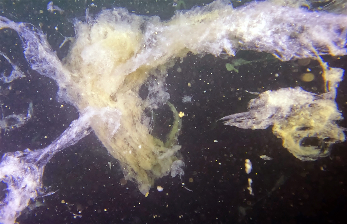 A A 20250523 38054854 38054827 M A R M A R A D E N I Z I N D E C A L I S M A Y A P A N D A L G I C L A R M E R C A N L A R I M U S I L A J D A N T E M I Z L E D I