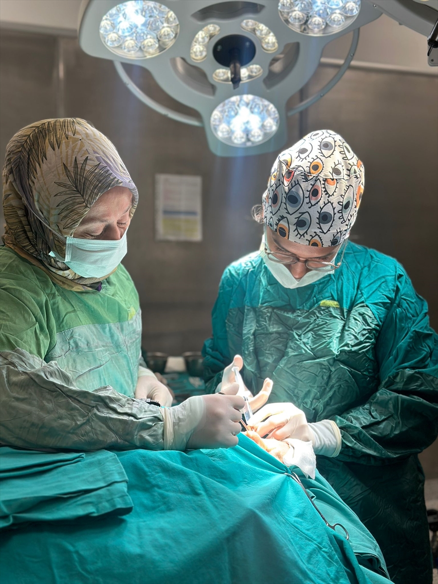 A A 20250523 38057343 38057342 B U R D U R D A Y A S L I K A D I N I N I S T E M S I Z A K A N G O Z Y A S I T E D A V I Y L E D I N D I