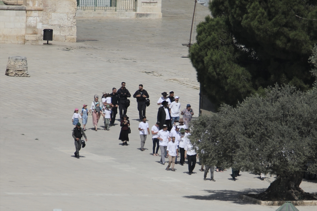 A A 20250526 38084283 38084271 Y U Z L E R C E F A N A T I K Y A H U D I M E S C I D I A K S A Y A B A S K I N D U Z E N L E D I